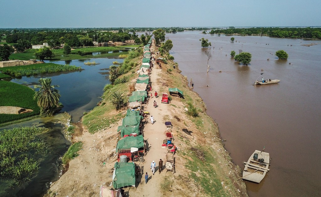 Des rangées de tentes s'étendent le long de routes dans des zones touchées par les inondations au Pakistan.